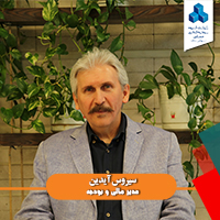 آیدین