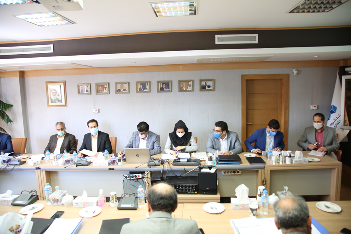 نوین پایدار