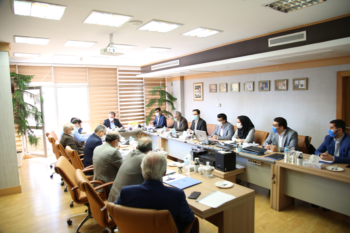 نوین پایدار