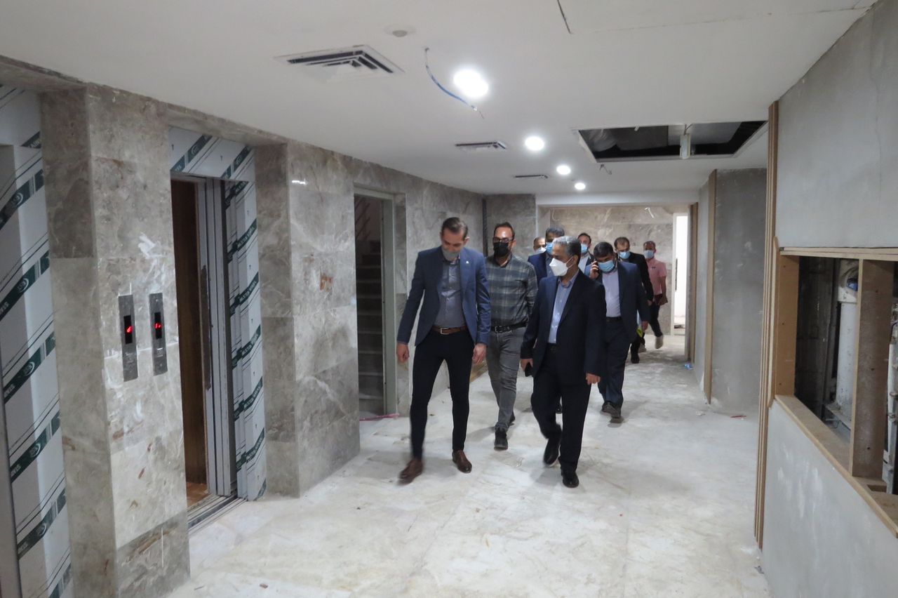 دکتر محمود شایان