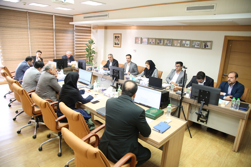 نوین پایدارن