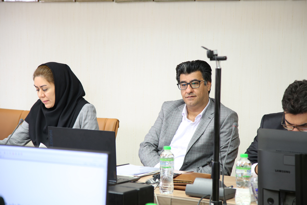 نوین پایدارن