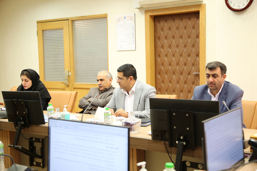 نوین پایدارن