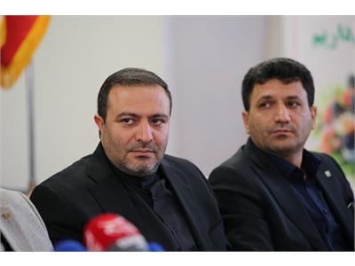 علیزاده: فروش متری و صنعتی‌سازی، دو محور راهبردی گروه سرمایه‌گذاری مسکن برای توسعه پایدار بازار مسکن