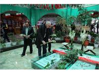 پروژه پردیس