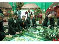 پروژه پردیس