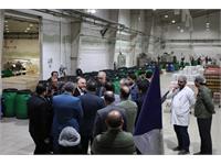 بازدید از گروه کارخانجات زیتون آرشیا مشهد