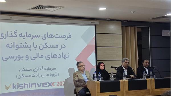 مدیرکل دفتر اقتصاد مسکن: نهادهای مالی باید با آگاهی کامل در بازار مسکن مشارکت کنند