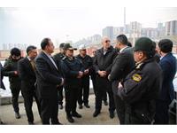 پروژه پردیس