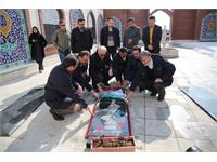 پروژه پردیس