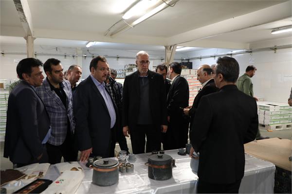 بازدید از گروه کارخانجات زیتون آرشیا مشهد