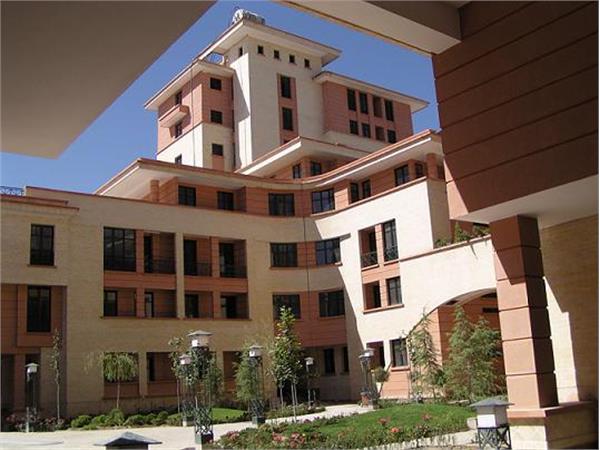 زیتون اصفهان - 3